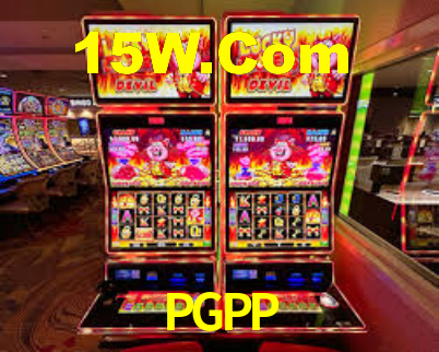Premium Interface PGPP