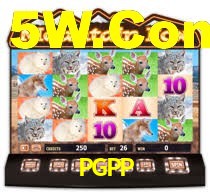 PGPP,PGPP.Com